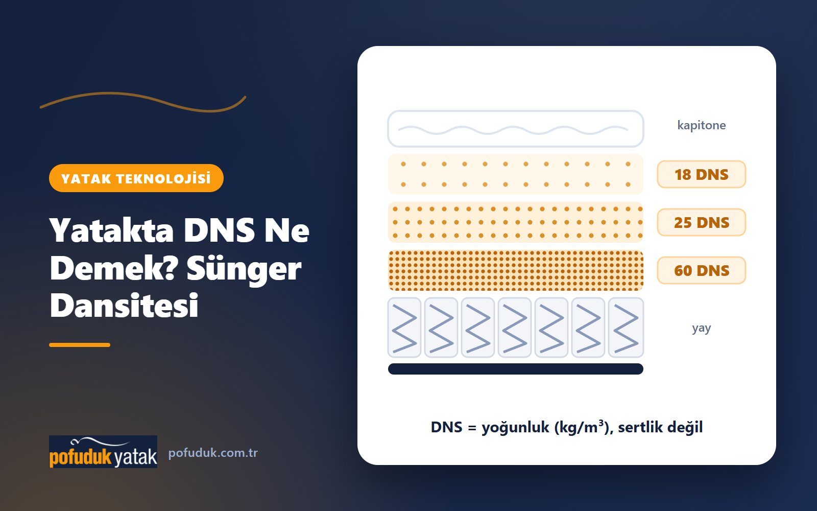 Yatakta DNS Ne Demek? Sünger Dansitesi Rehberi